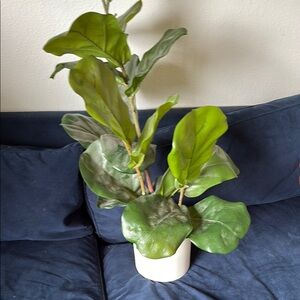 Amazon Green and White Faux Floral Accent